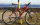 Fahrradladen Freudenstadt