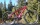 MTB 26