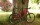 Fahrrad Alpirsbach