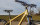 hardtail