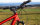 Fahrradhändler