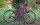 Mountainbike 26 Zoll