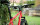 Fahrradläden
