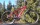 MTB 26 Zoll