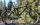Fahrrad